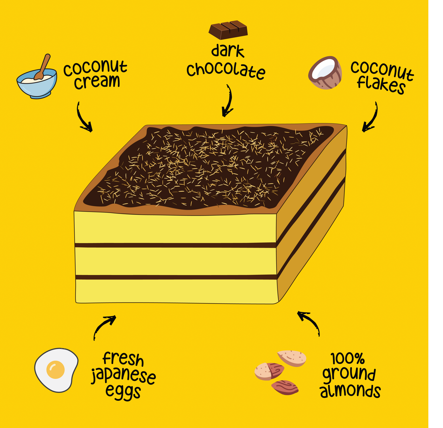 COCONUT CHOCOLATE CAKE